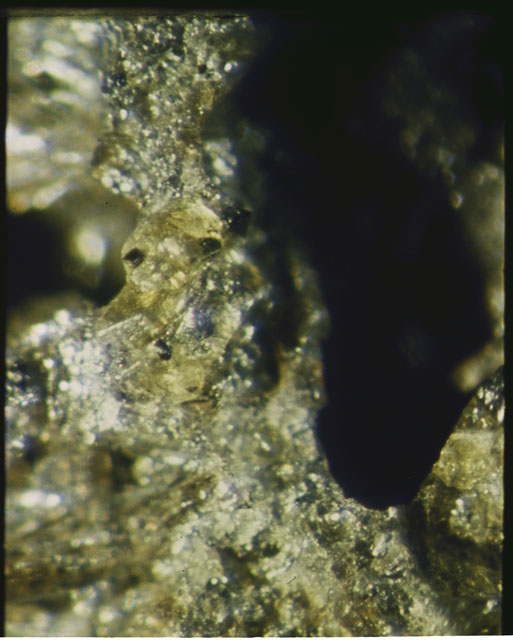 Color photograph of Apollo 12 sample 12075; Processing photograph displaying a close up of the clast.