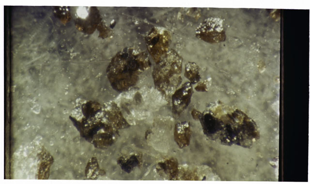 Color photograph of Apollo 12 sample 12064; Processing photograph displaying a close up of the surface with a VUG.