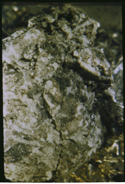 Color photograph of Apollo 12 sample 12057,5; Processing photograph displaying a close up of the surface.