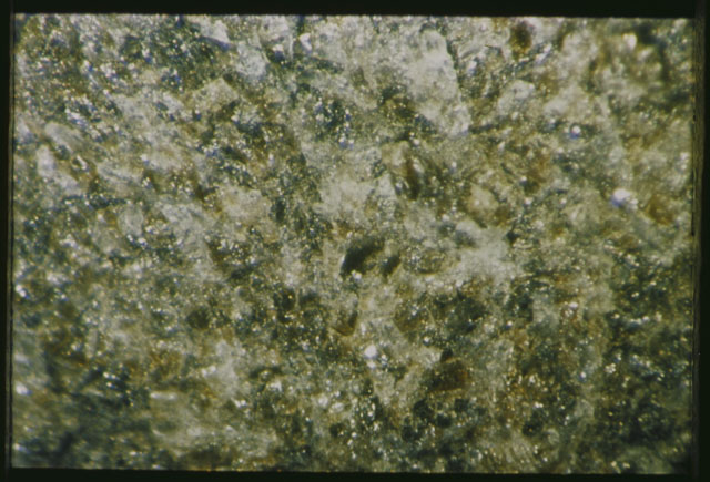Color photograph of Apollo 12 sample 12057,13; Processing photograph displaying a close up of the surface.