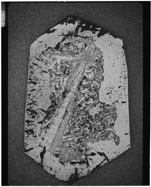 Black and white Thin Section photograph of Apollo 12 Sample(s) 12021,2.