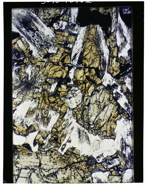 Color Thin Section photograph of Apollo 12 Sample(s) 12021,140 using transmitted light.