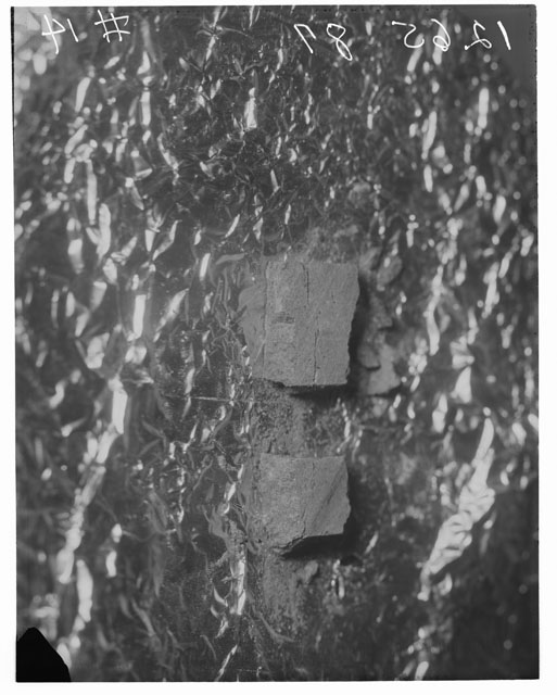 Black and white photograph of Apollo 12 Sample(S) 12065; Processing photograph displaying slab group.