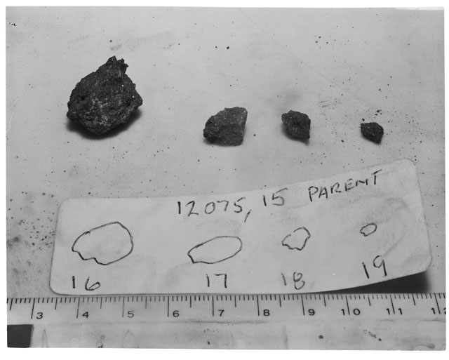 Black and white photograph of Apollo 12 Sample(S) 12075,15-19; Processing photograph displaying group.