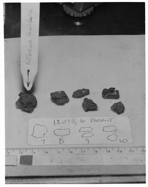 Black and white photograph of Apollo 12 Sample(S) 12075,6,7-10; Processing photograph displaying group.