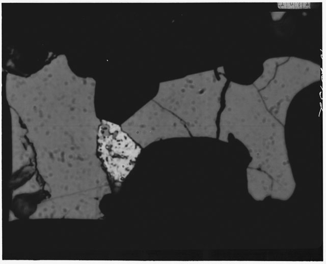 Black and white Thin Section close up photograph of Apollo 12 Sample(s) 12021,4.