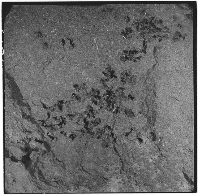 Black and white photograph of Apollo 12 sample 12052; Processing mosaic photograph displaying a close up of the zap pits.