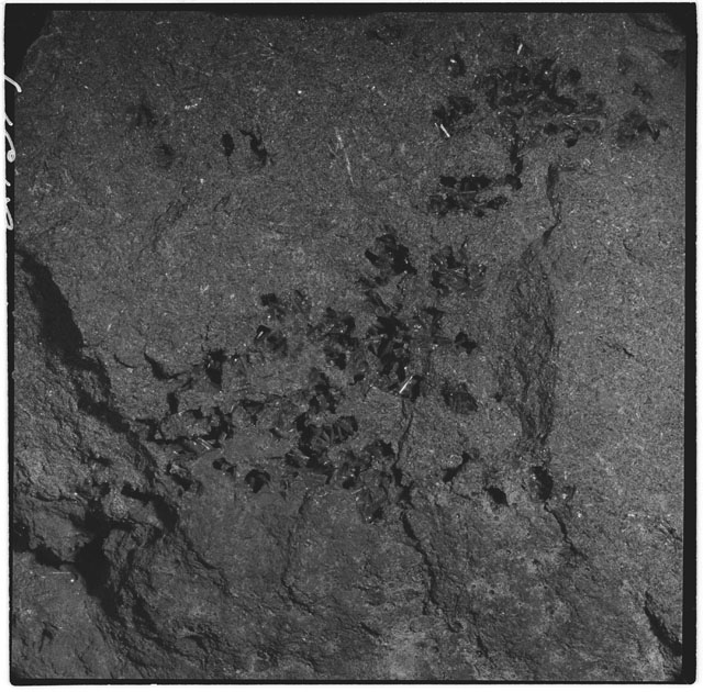 Black and white photograph of Apollo 12 sample 12052; Processing mosaic photograph displaying a close up of the zap pits.