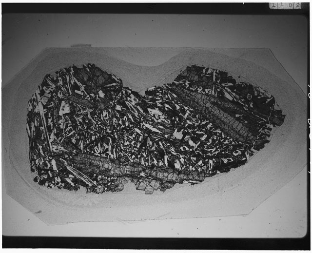 Black and white Thin Section photograph of Apollo 12 Sample(s) 12021,3 using cross Nichols light.