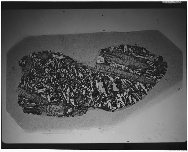 Black and white Thin Section photograph of Apollo 12 Sample(s) 12021,6 using cross Nichols light.