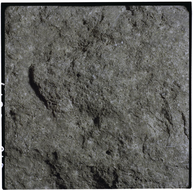 Color mosaic Processing photograph of Apollo 12 Sample(s) 12065.