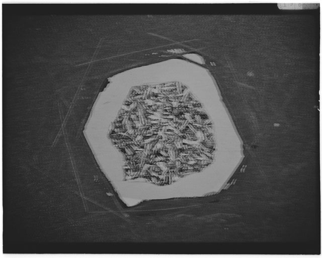 Black and white Thin Section photograph of Apollo 12 Sample(s) 12038,4 using cross nichols light.