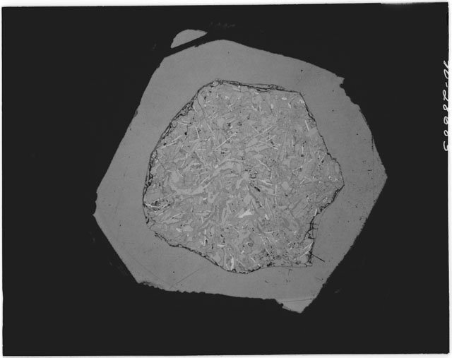 Black and white Thin Section photograph of Apollo 12 Sample(s) 12038,4 using reflected light.