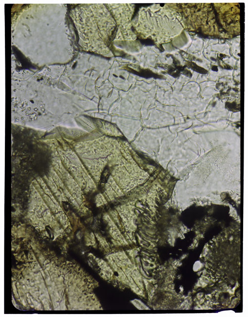 Color Thin Section close up photograph of Apollo 12 Sample(s) 12063,21 using transmitted light.