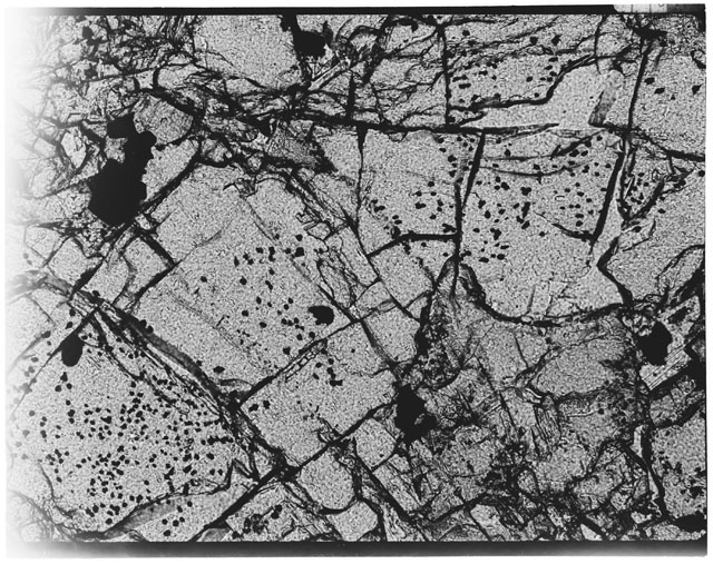 Black and white Thin Section close up photograph of Apollo 12 Sample(s) 12018,10.