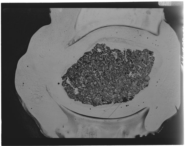 Black and white Thin Section photograph of Apollo 12 Sample(s) 12018,9.