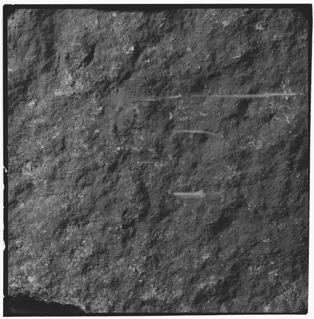 Black and white photograph of Apollo 12 sample 12022,0; Processing mosiac photograph displaying a close up of the surface.