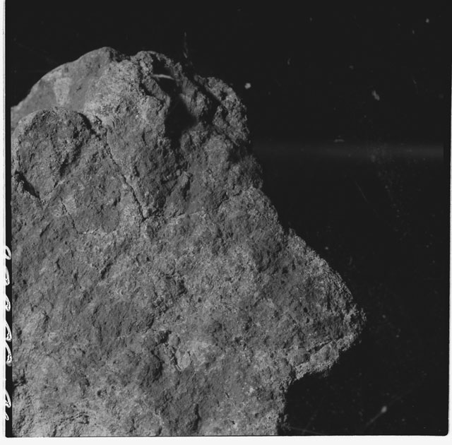 Black and white photograph of Apollo 12 sample 12010,0; Processing mosaic photograph displaying a close up of the surface.