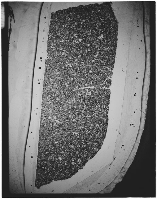 Black and white Thin Section photograph of Apollo 12 Sample(s) 12002,161.