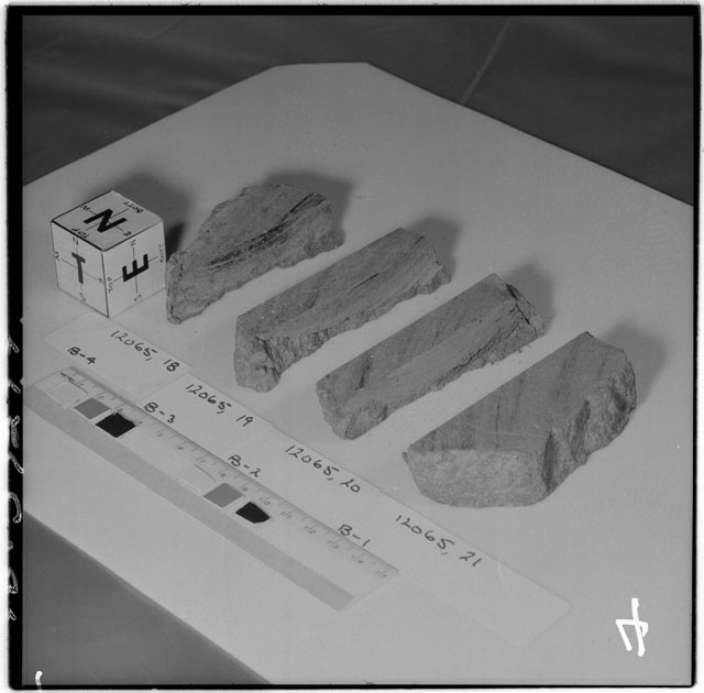 Black and white photograph of Apollo 12 Sample(S) 12065,18-21; Processing photograph displaying a slab reconstruction sample with an orientation of N,E,T.