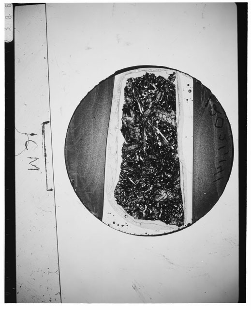 Black and white Thin Section photograph of Apollo 12 Sample(s) 12021,141.