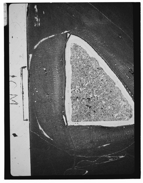 Black and white Thin Section photograph of Apollo 12 Sample(s) 12018,76.