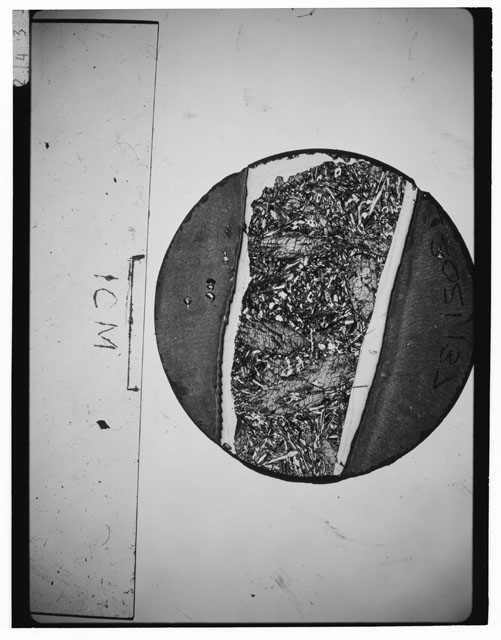 Black and white Thin Section photograph of Apollo 12 Sample(s) 12021,137.