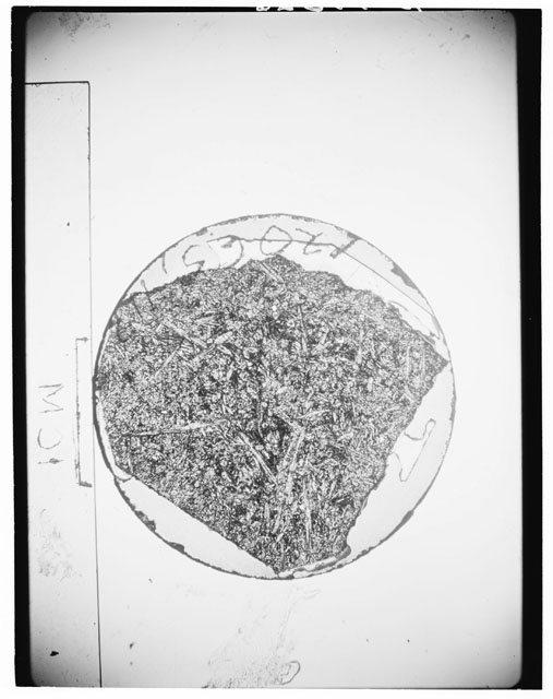 Black and white Thin Section photograph of Apollo 12 Sample(s) 12063,113 using cross nichols light.