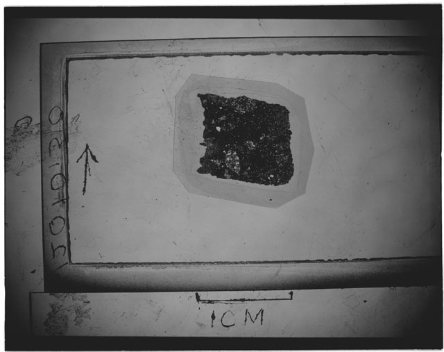 Black and white Thin Section photograph of Apollo 12 Sample(s) 12010,30.