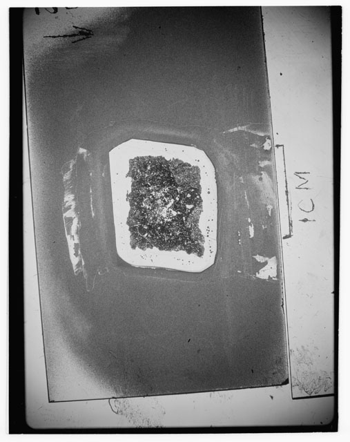 Black and white Thin Section photograph of Apollo 12 Sample(s) 12010,28.
