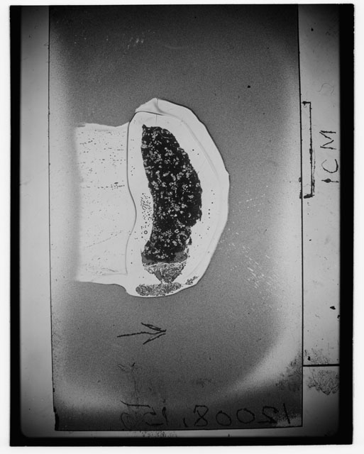 Black and white Thin Section photograph of Apollo 12 Sample(s) 12008,15.