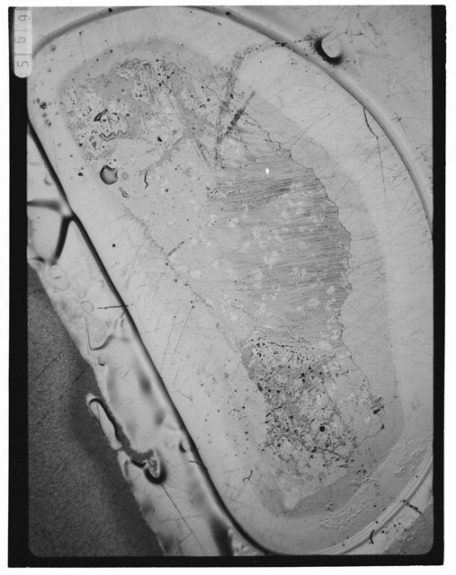 Black and white Thin Section photograph of Apollo 12 Sample(s) 12008,18.