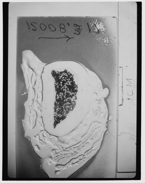 Black and white Thin Section photograph of Apollo 12 Sample(s) 12008,17.