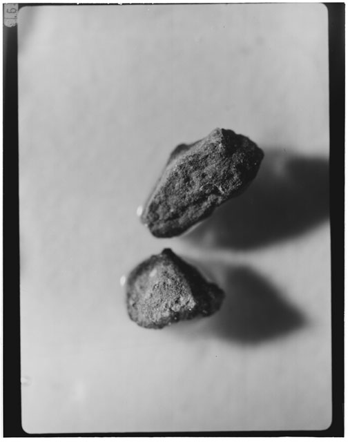 Black and white photograph of Apollo 12 sample 12030,22; Processing photograph displaying grain mount.
