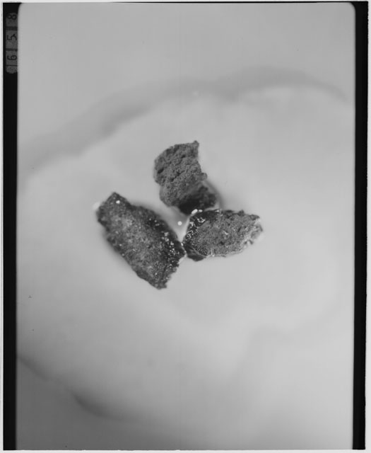 Black and white photograph of Apollo 12 sample 12001,108; Processing photograph displaying soil grains.