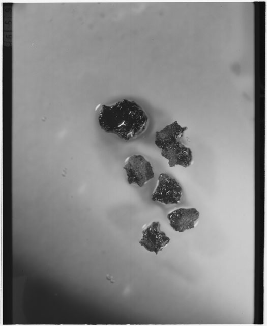 Black and white photograph of Apollo 12 sample 12001,107; Processing photograph displaying soil grains.