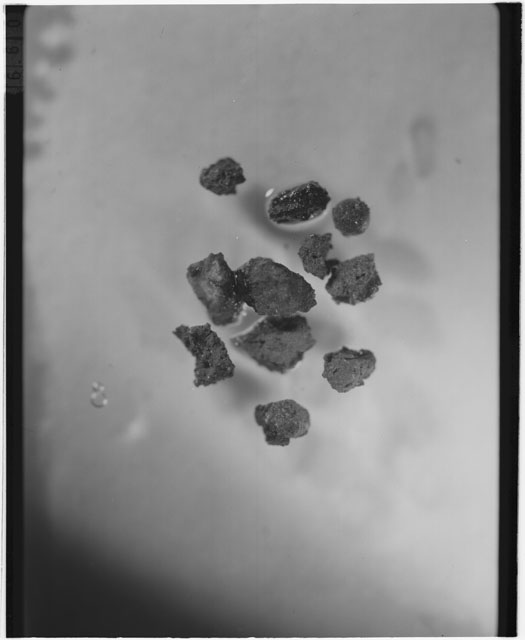 Black and white photograph of Apollo 12 sample 12001,105; Processing photograph displaying soil grains.