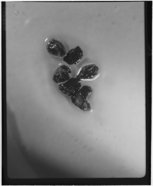 Black and white photograph of Apollo 12 sample 12001,106; Processing photograph displaying glass soil grains.