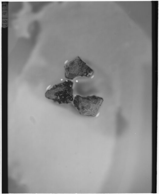Black and white photograph of Apollo 12 sample 12033,82; Processing photograph displaying grain mount.