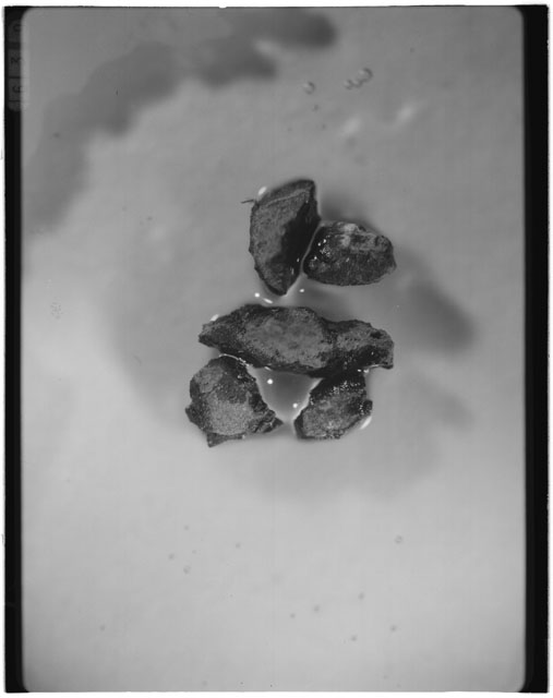 Black and white photograph of Apollo 12 sample 12033,84; Processing photograph displaying grain mount.