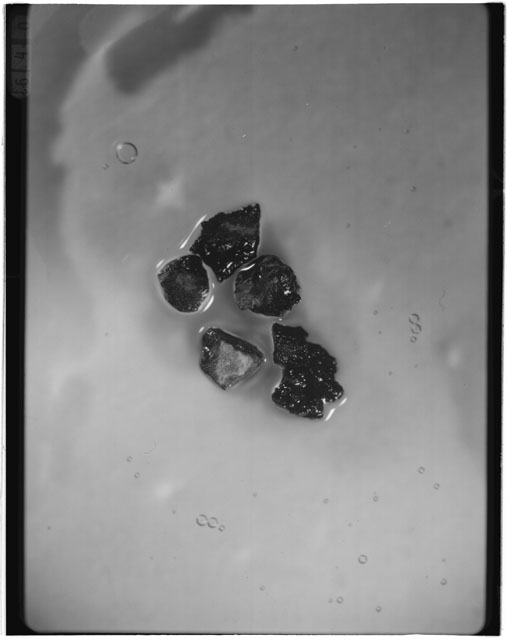 Black and white photograph of Apollo 12 sample 12033,83; Processing photograph displaying grain mount.