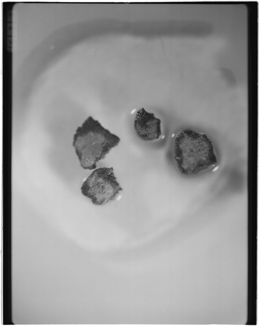 Black and white photograph of Apollo 12 sample 12033,86; Processing photograph displaying grain mount.
