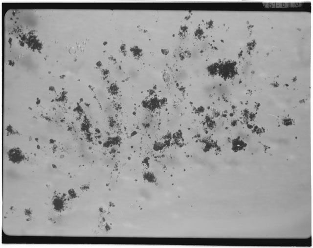 Black and white photograph of Apollo 12 sample 12070,157; Processing photograph displaying grain mount.