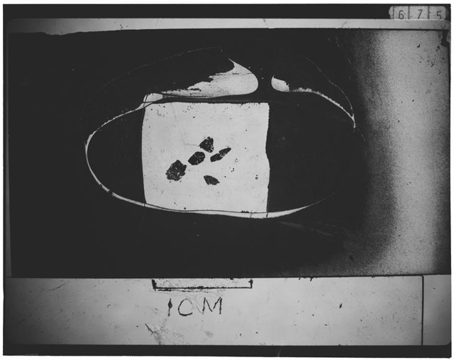 Black and white photograph of Apollo 12 sample 12030,23; Thin Section photograph displaying grain mount.