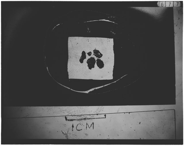 Black and white photograph of Apollo 12 sample 12030,20; Thin Section photograph displaying grain mount.