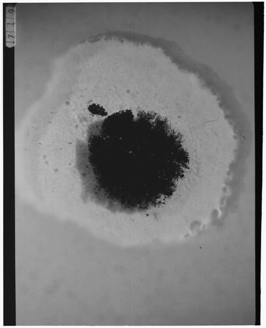 Black and white photograph of Apollo 12 sample 12001,111; Thin Section photograph displaying grain mount.