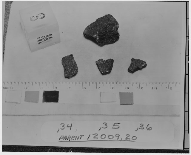 Black and white photograph of Apollo 12 Sample(S) 12009,34-36; Processing photograph displaying  chips sample.