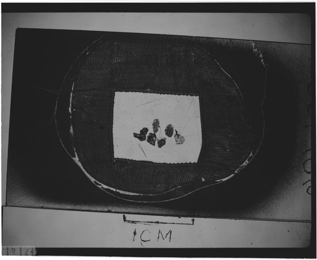 Black and white photograph of Apollo 12 sample 12001,106; Thin Section photograph displaying grain mount.