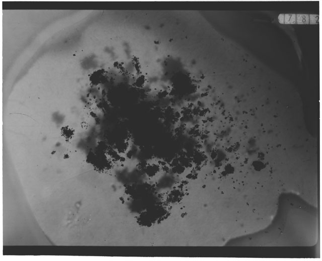 Black and white photograph of Apollo 12 sample 12044,37; Processing photograph displaying grain mount.