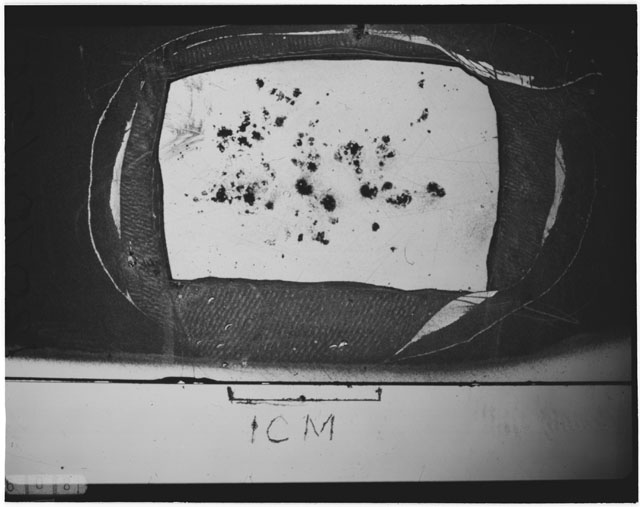 Black and white photograph of Apollo 12 sample 12070,155; Thin Section photograph displaying grain mount.